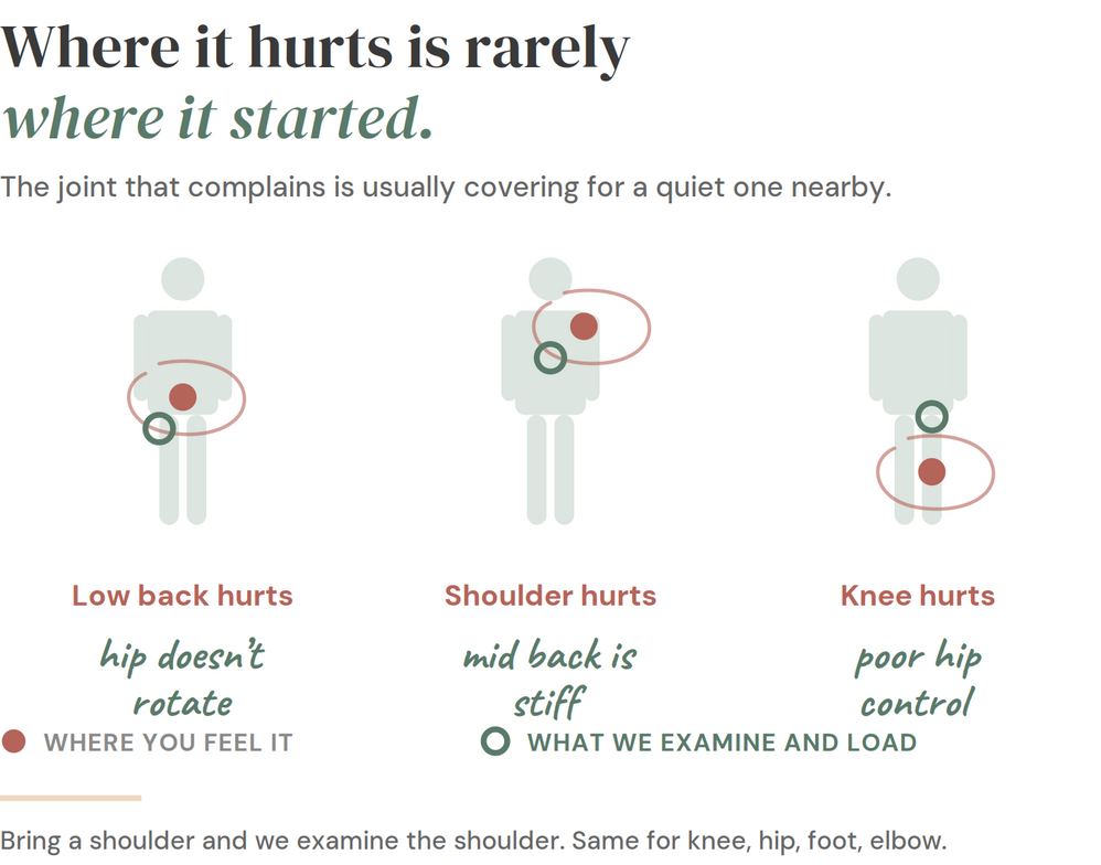 Diagram: low back pain often traces to the hip, shoulder pain to the mid back, knee pain to poor hip control